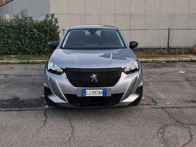 Peugeot 2008 BlueHDi 110 S&S Active usata