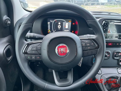 Fiat Panda Cross Cross 1.0 FireFly S&S Hybrid (11)