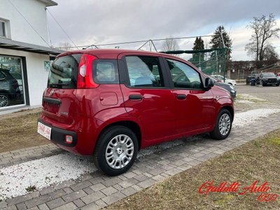 Fiat Panda Cross Cross 1.0 FireFly S&S Hybrid (16)