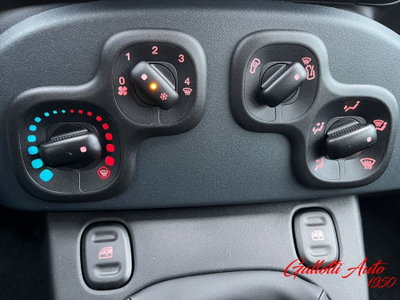 Fiat Panda Cross Cross 1.0 FireFly S&S Hybrid (19)