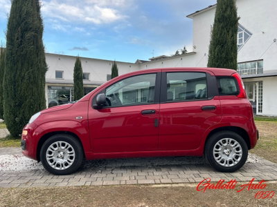 Fiat Panda Cross Cross 1.0 FireFly S&S Hybrid (3)