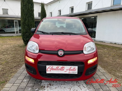 Fiat Panda Cross Cross 1.0 FireFly S&S Hybrid (4)