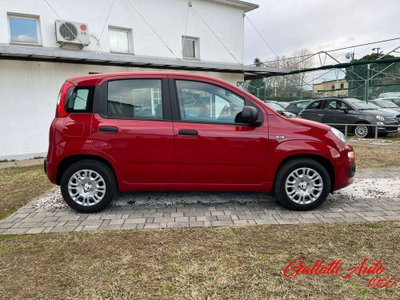 Fiat Panda Cross Cross 1.0 FireFly S&S Hybrid (6)