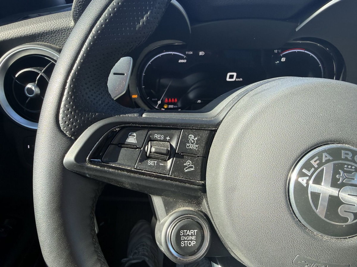 Alfa Romeo Stelvio Stelvio 2.2 Turbodiesel 210 CV AT8 Q4 Veloce (19)
