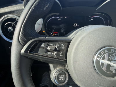 Alfa Romeo Stelvio Stelvio 2.2 Turbodiesel 210 CV AT8 Q4 Veloce (19)