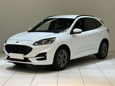 Ford Kuga 2.0 EcoBlue 120 CV aut. 2WD ST-Line X usata