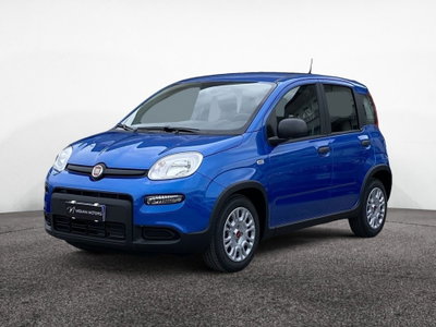 Fiat Panda Cross Cross 1.0 FireFly S&S Hybrid (4)