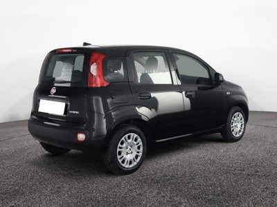 Fiat Panda Cross Cross 1.0 FireFly S&S Hybrid (7)