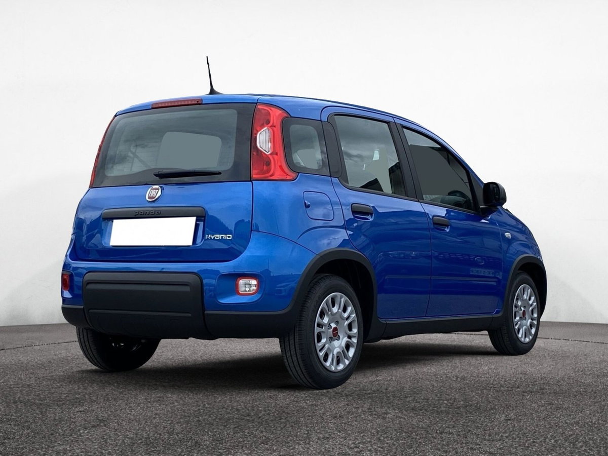 Fiat Panda 1.2 GPL Pop Van 2 posti (10)