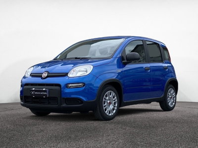 Fiat Panda 1.2 GPL Pop Van 2 posti (2)