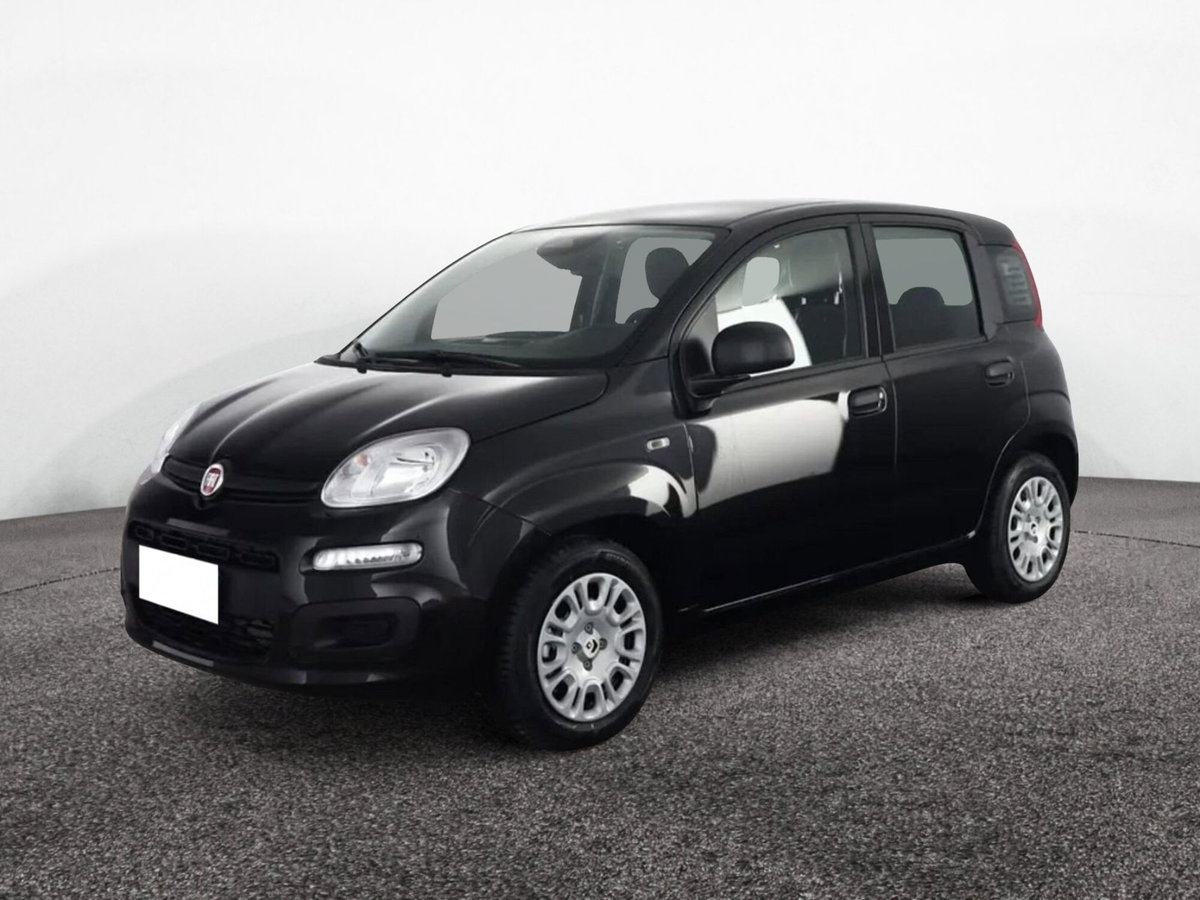 Fiat Panda 1.2 GPL Pop Van 2 posti (3)