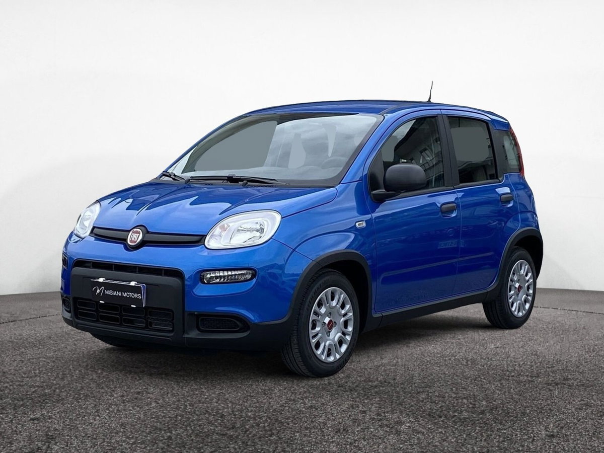 Fiat Panda 1.2 GPL Pop Van 2 posti (4)