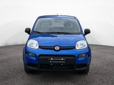 Fiat Panda 1.2 GPL Pop Van 2 posti (5)