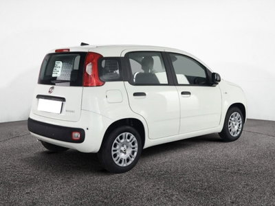 Fiat Panda 1.2 GPL Pop Van 2 posti (8)