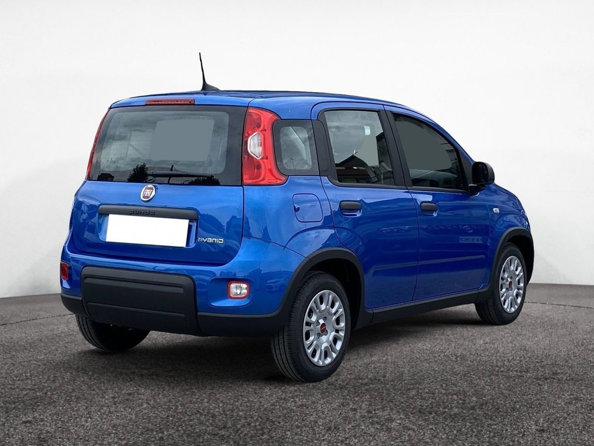 Fiat Panda 1.2 GPL Pop Van 2 posti (9)
