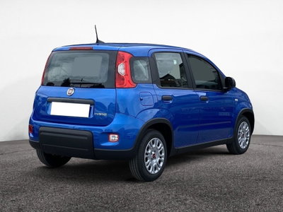 Fiat Panda 1.2 GPL Pop Van 2 posti (9)
