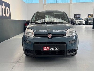 Fiat Panda van 1.0 hybrid Street 70cv 4p.ti serie 4 E6d (3)