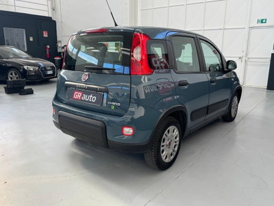 Fiat Panda van 1.0 hybrid Street 70cv 4p.ti serie 4 E6d (5)