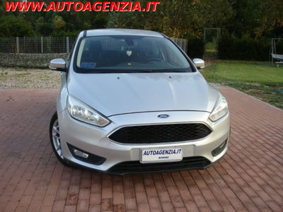 Ford Focus 1.5 TDCi 120 CV Start&Stop Business usata