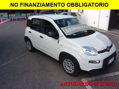 Fiat Panda 1.0 firefly hybrid s&s 70cv usata