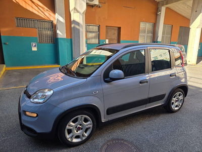 Fiat Panda 1.0 FireFly S&S Hybrid City Life usata