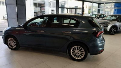 Fiat Tipo Tipo 1.6 Mjt S&S 5 porte Business (5)