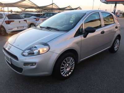 Fiat Punto 1.2 8V 5 porte Lounge usata