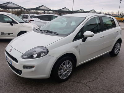 Fiat Punto 1.2 8V 5 porte Lounge usata