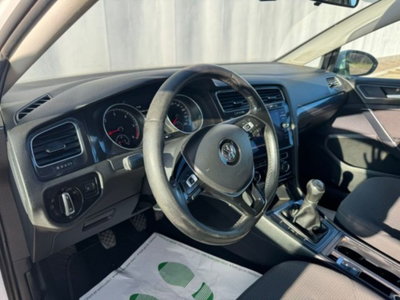 Volkswagen Golf 1.6 TDI 110 CV 5p. Comfortline BlueMotion (7)
