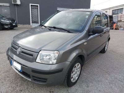 Fiat Panda 1.2 Dynamic usata
