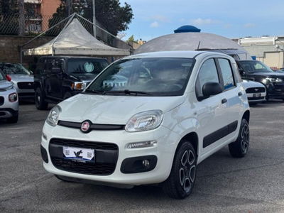 Fiat Panda 0.9 TwinAir Turbo S&S 4x4 usata