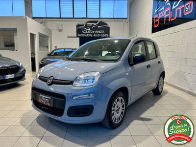 Fiat Panda 1.2 EasyPower Easy usata