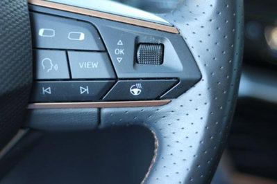 Cupra Formentor Formentor 2.0 TDI (18)