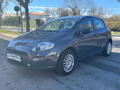 Fiat Punto 1.2 8V 5 porte Street usata