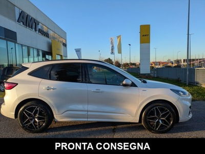 Ford Kuga 1.5 EcoBlue 120 CV aut. 2WD ST-Line X Design usata