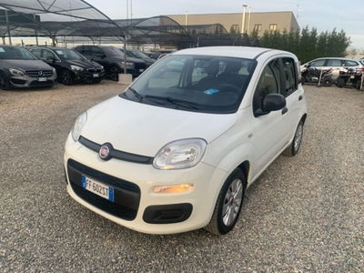 Fiat Panda 1.2 Easy usata
