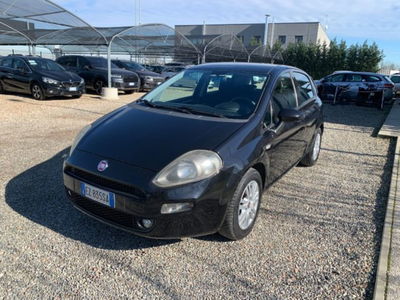Fiat Punto 1.3 MJT II 75 CV 5 porte Lounge usata