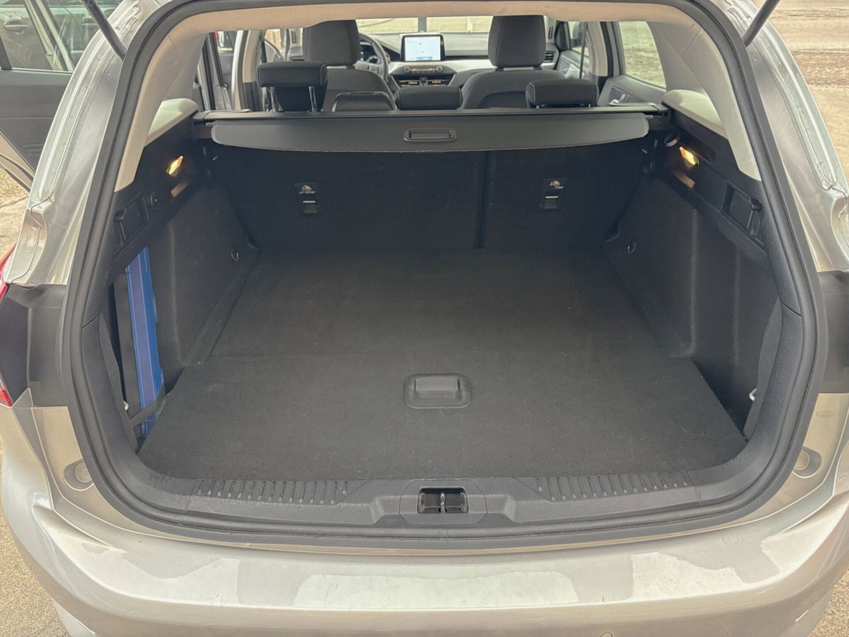Ford Focus Station Wagon 1.5 EcoBlue 120 CV automatico SW Business (13)