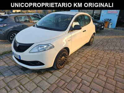 Lancia Ypsilon 1.2 69 CV 5 porte S&S Elefantino Blu usata