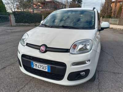 Fiat Panda 1.2 EasyPower Lounge usata