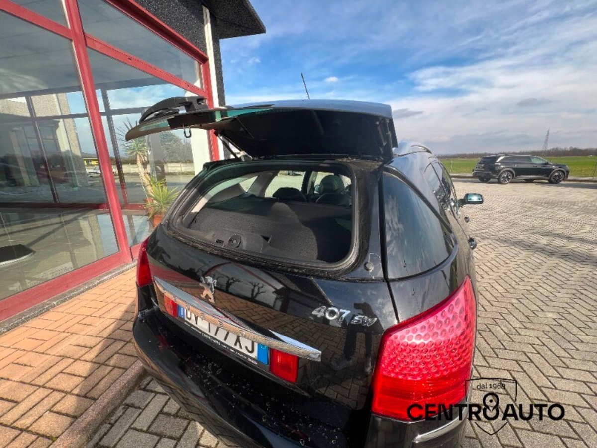 Peugeot 407 SW 2.2 HDi Ciel Féline (14)