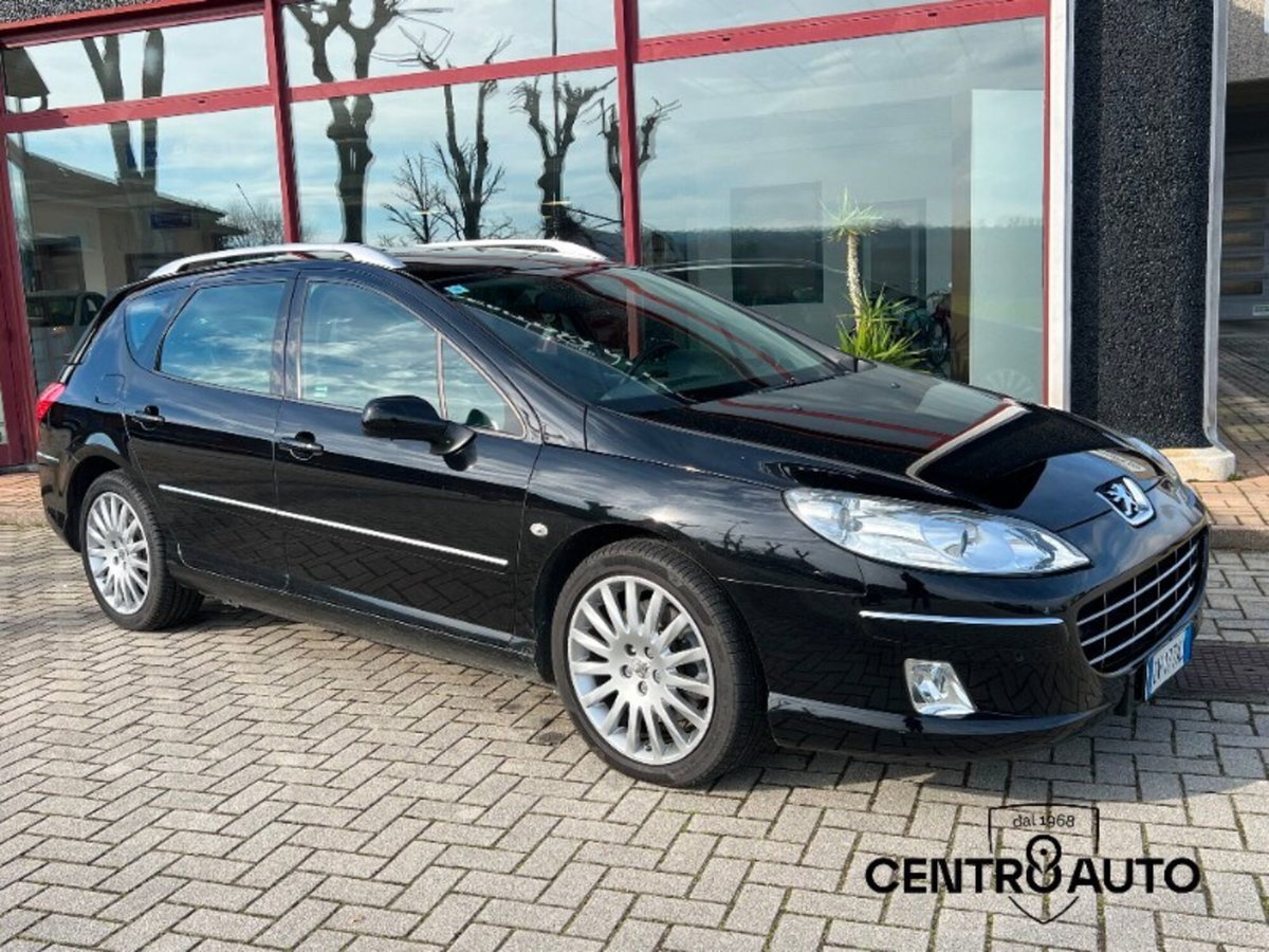 Peugeot 407 SW 2.2 HDi Ciel Féline (2)