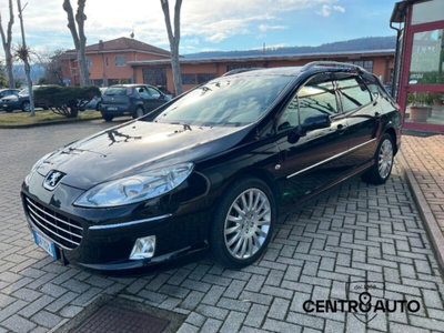 Peugeot 407 SW 2.2 HDi Ciel Féline (6)