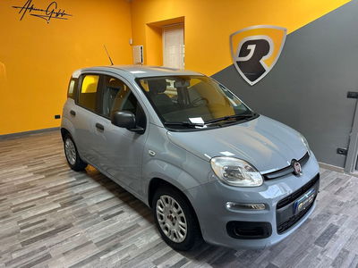 Fiat Panda 1.0 FireFly S&S Hybrid City Cross usata