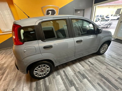 Fiat Panda 1.0 FireFly S&S Hybrid City Cross (10)