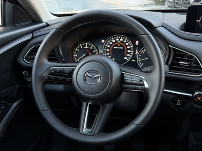 Mazda CX-30 2.5 m-hybrid Homura 2wd 140cv 6mt (13)
