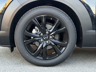 Mazda CX-30 2.5 m-hybrid Homura 2wd 140cv 6mt (18)