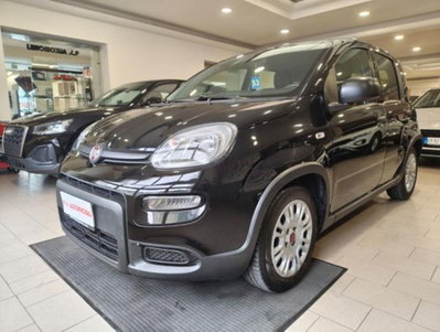 Fiat Panda 1.0 firefly hybrid s&s 70cv 5p.ti usata