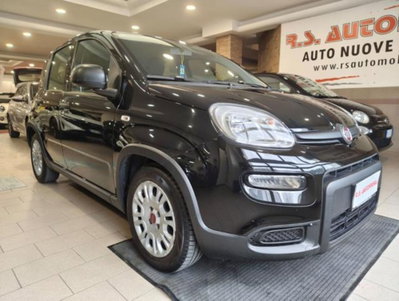 Fiat Panda 1.0 firefly hybrid s&s 70cv 5p.ti (2)