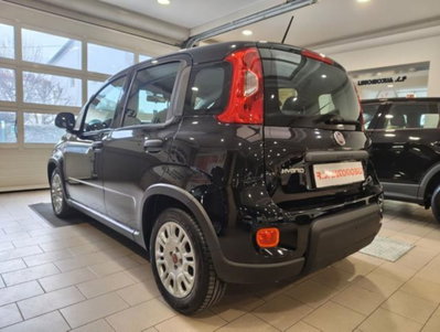 Fiat Panda 1.0 firefly hybrid s&s 70cv 5p.ti (3)